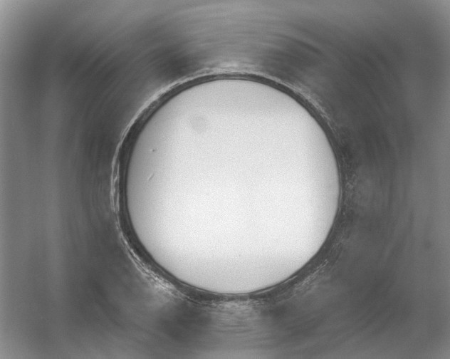 X0000054401126200508191958