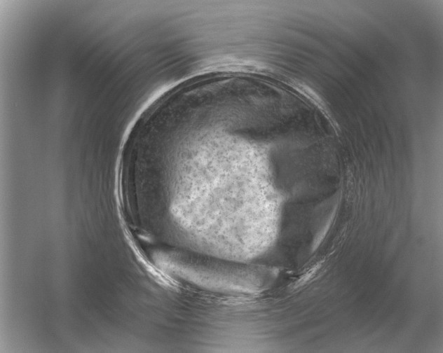 X0000054401128200508191958