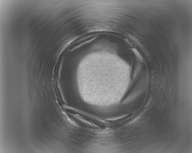 X0000054401129200508191958