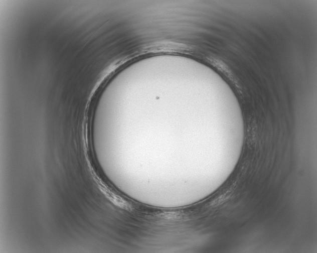 X0000054401130200508191958