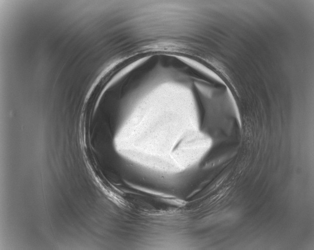 X0000054401131200508191958