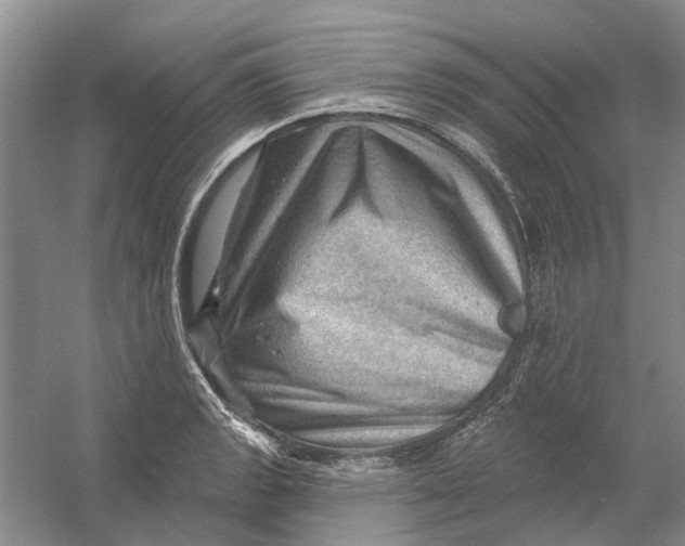 X0000054401133200508191958