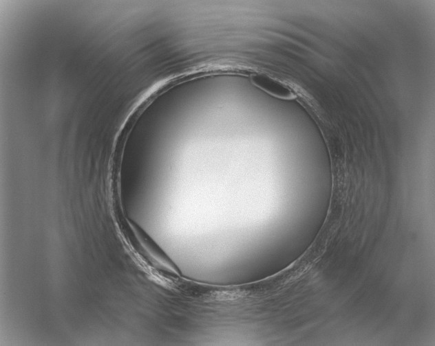 X0000054401134200508191958