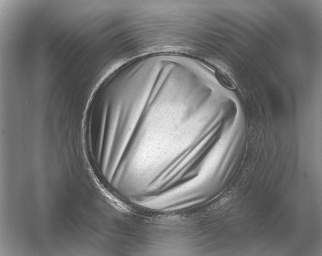 X0000054401135200508191958