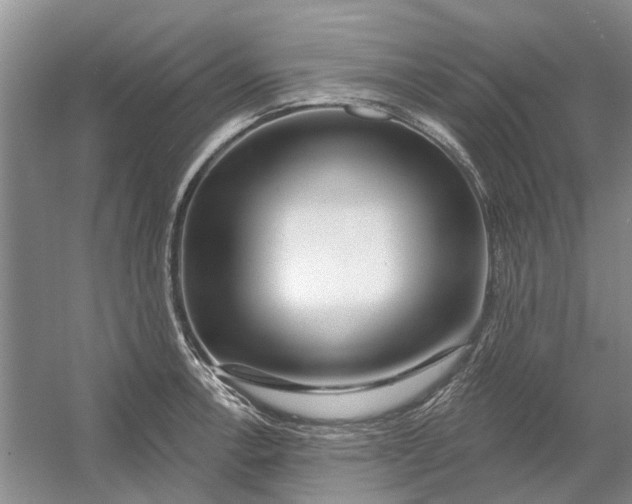 X0000054401138200508191958