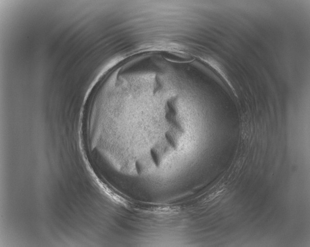 X0000054401139200508191958