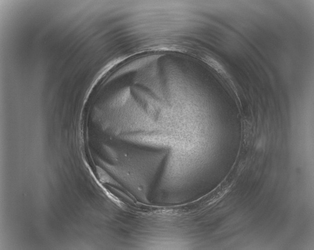 X0000054401141200508191958