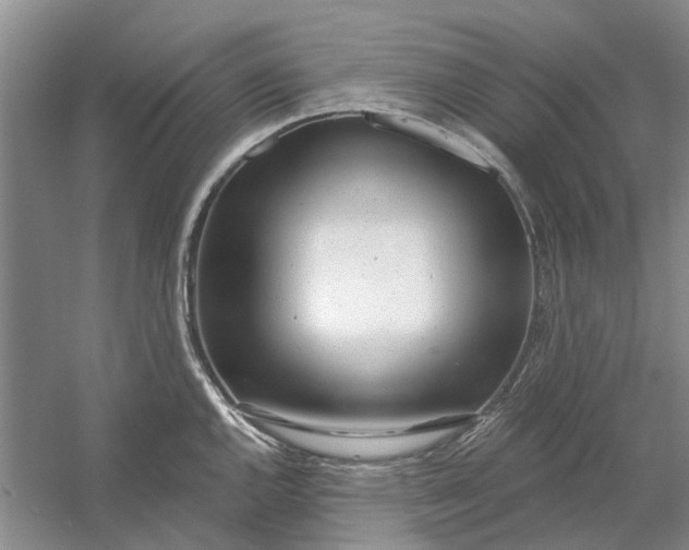 X0000054401144200508191958