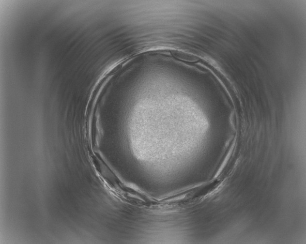 X0000054401145200508191958