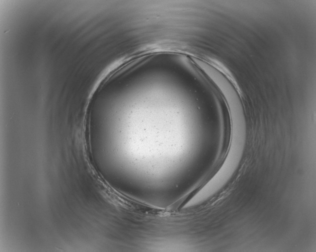 X0000054401146200508191958