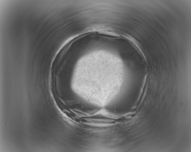 X0000054401147200508191958