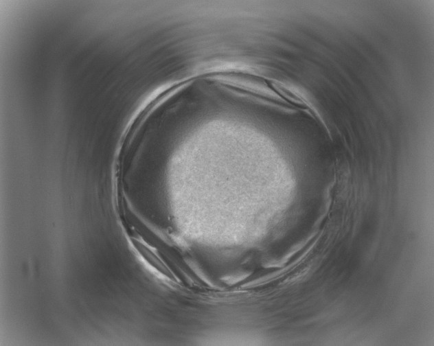 X0000054401151200508191958