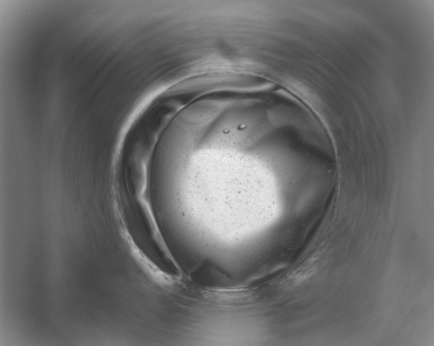 X0000054401152200508191958