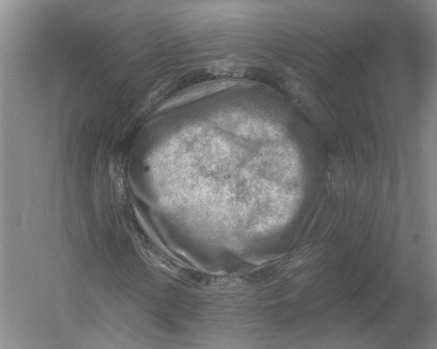 X0000054401154200508191957