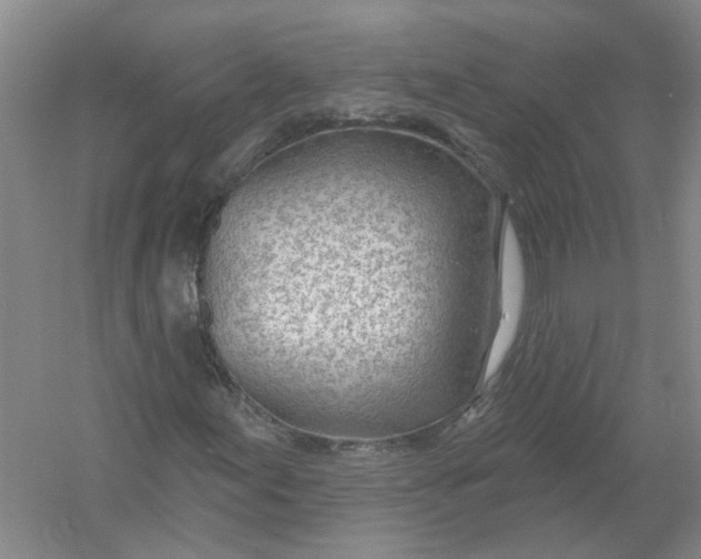 X0000054401155200508191957