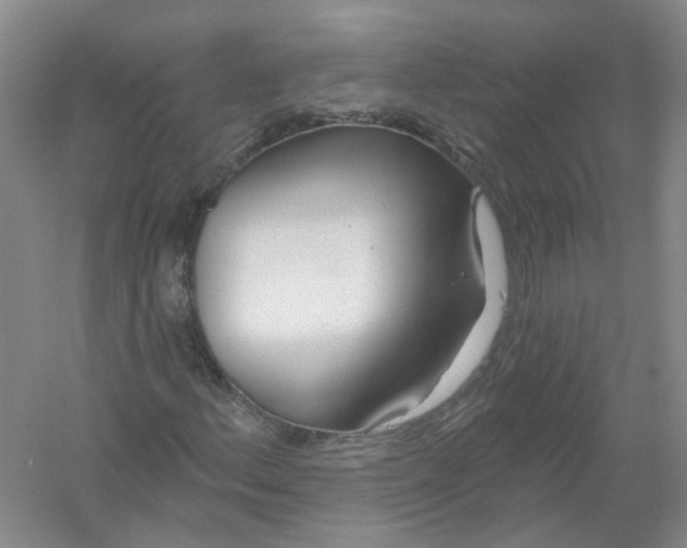 X0000054401156200508191957