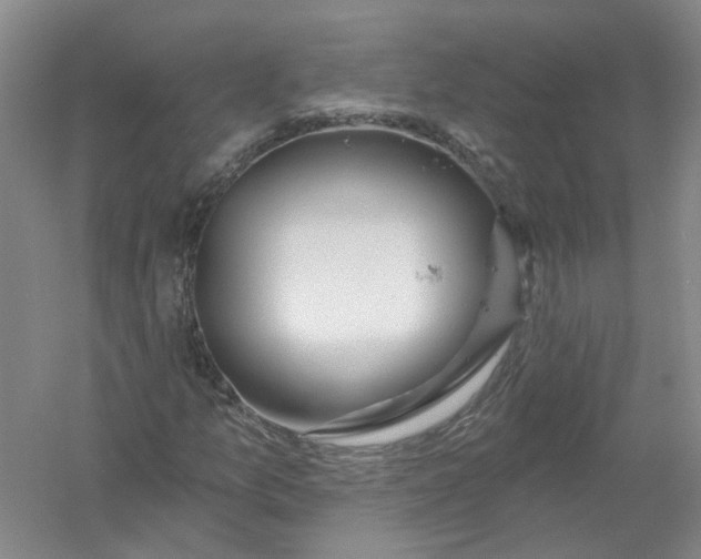 X0000054401157200508191957