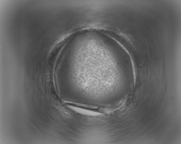 X0000054401159200508191957