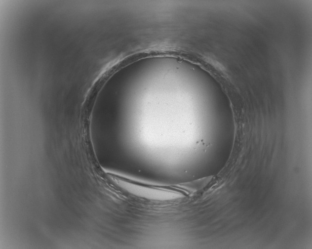 X0000054401160200508191957