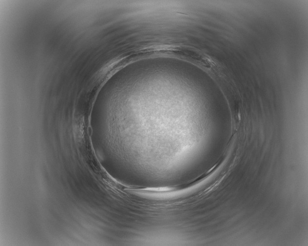 X0000054401161200508191957