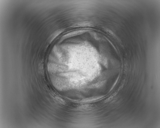 X0000054401162200508191957