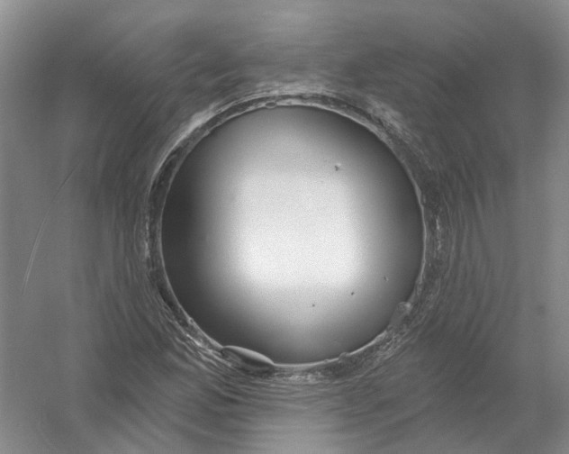 X0000054401165200508191957