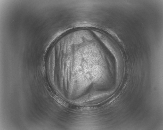 X0000054401167200508191957