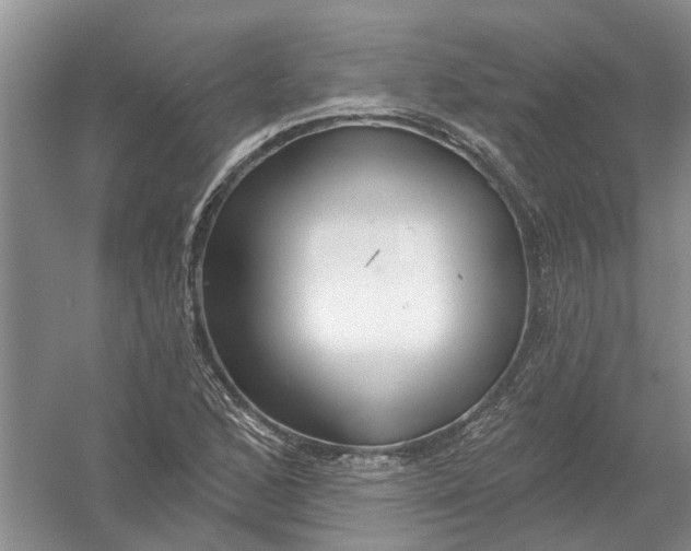 X0000054401168200508191957