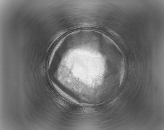 X0000054401170200508191957