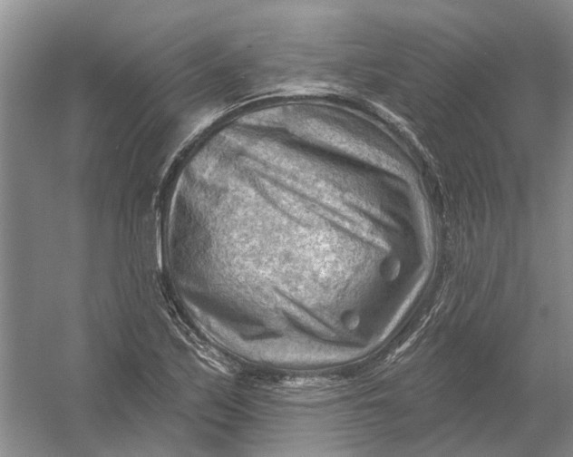 X0000054401171200508191957