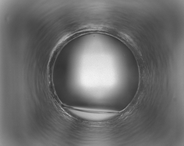 X0000054401172200508191957