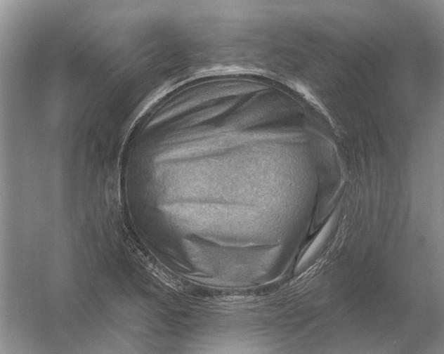 X0000054401173200508191957