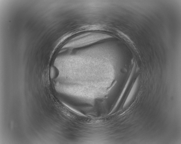 X0000054401174200508191957