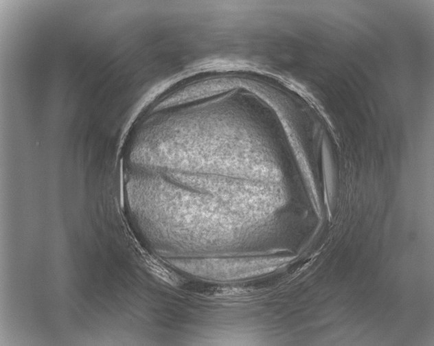 X0000054401175200508191957