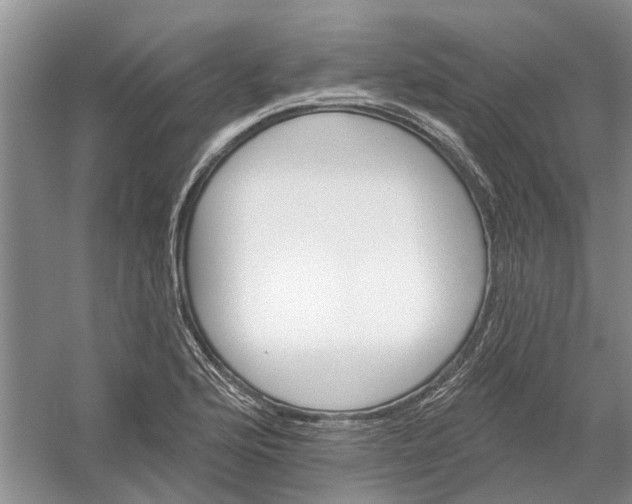 X0000054401176200508191957