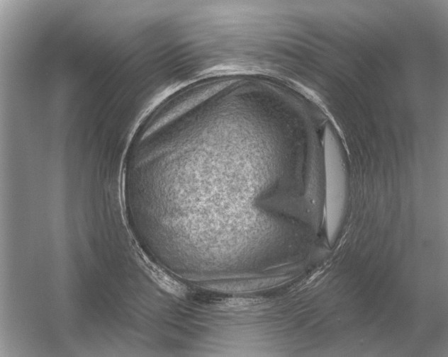 X0000054401179200508191957