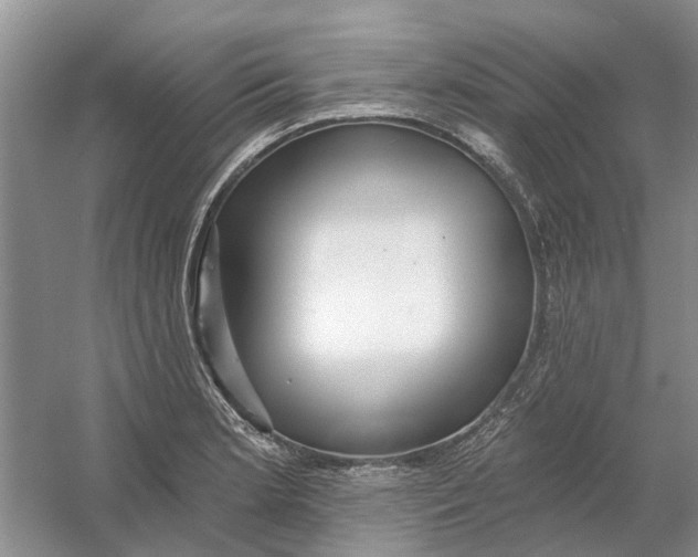 X0000054401181200508191957