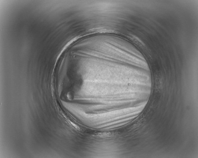 X0000054401182200508191957