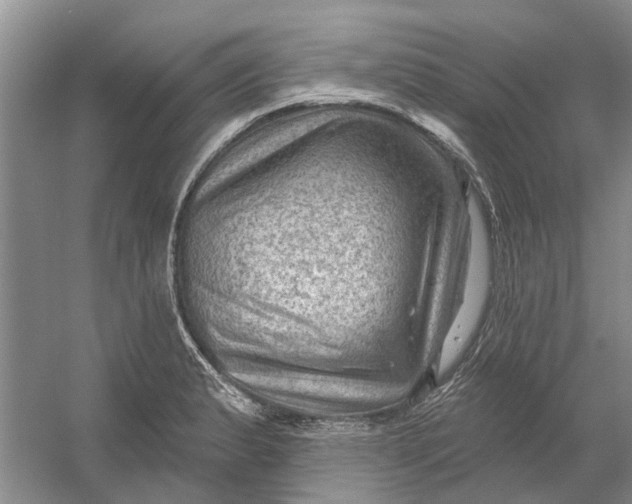 X0000054401183200508191957