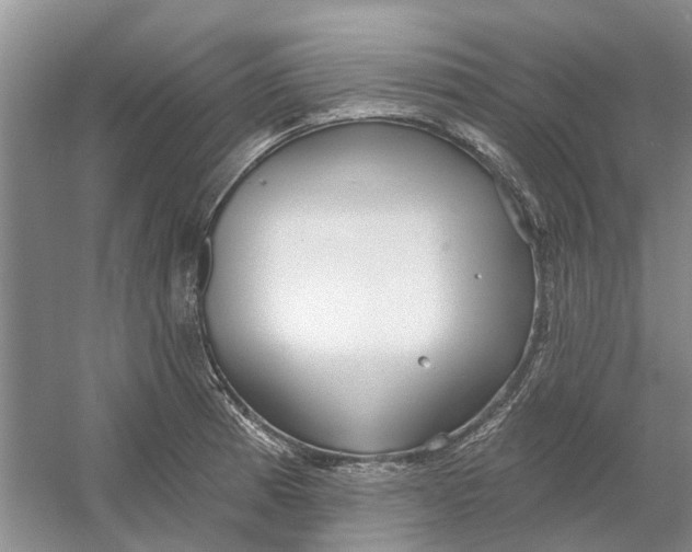 X0000054401185200508191957