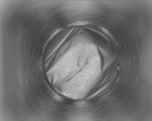 X0000054401186200508191957