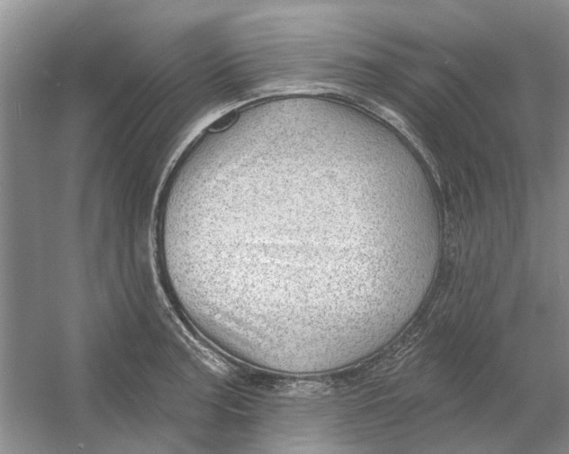 X0000054401187200508191957