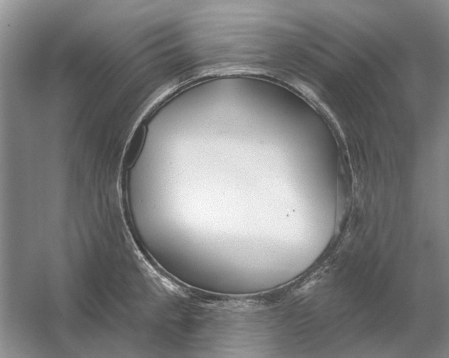 X0000054401189200508191957