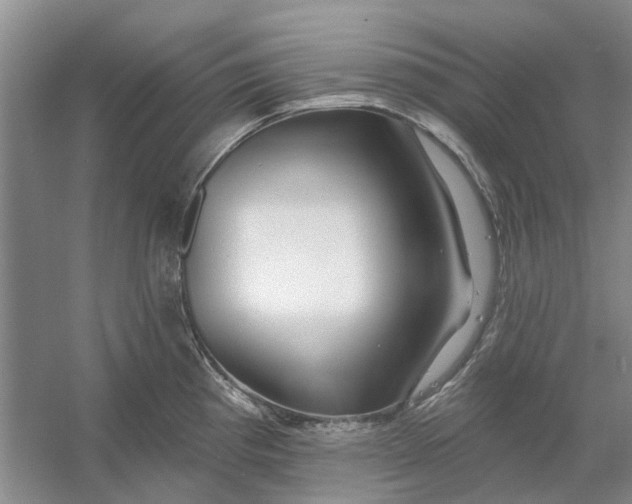 X0000054401193200508191957