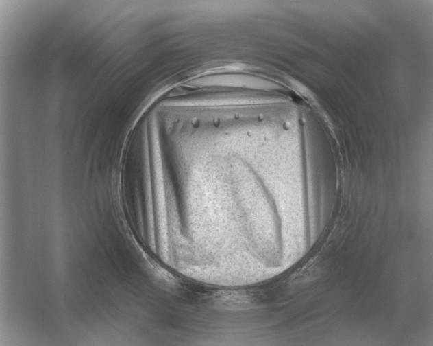 X0000054401194200508191957