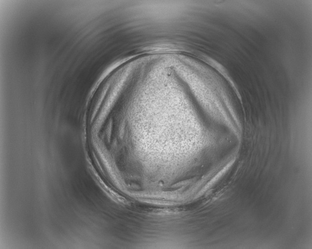 X0000054401195200508191957