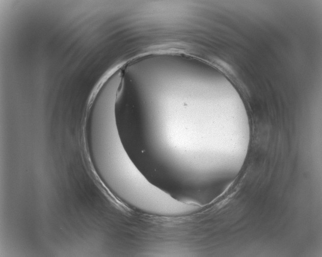 X0000054401196200508191957