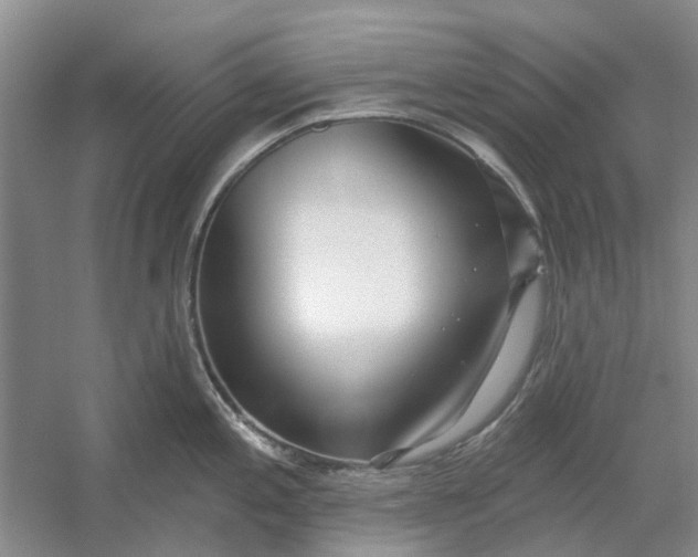 X0000054401197200508191957