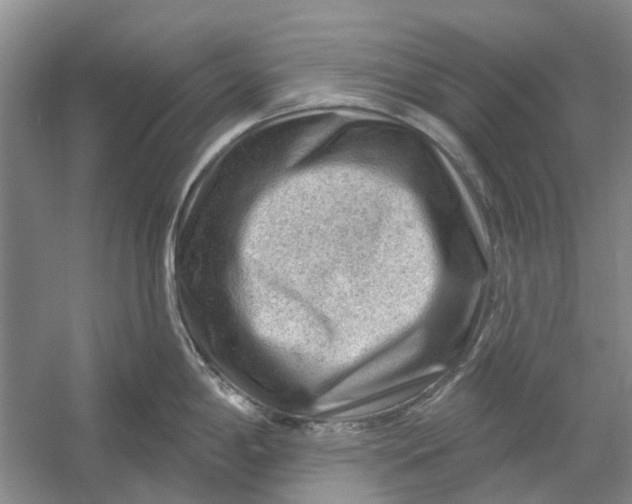 X0000054401198200508191957