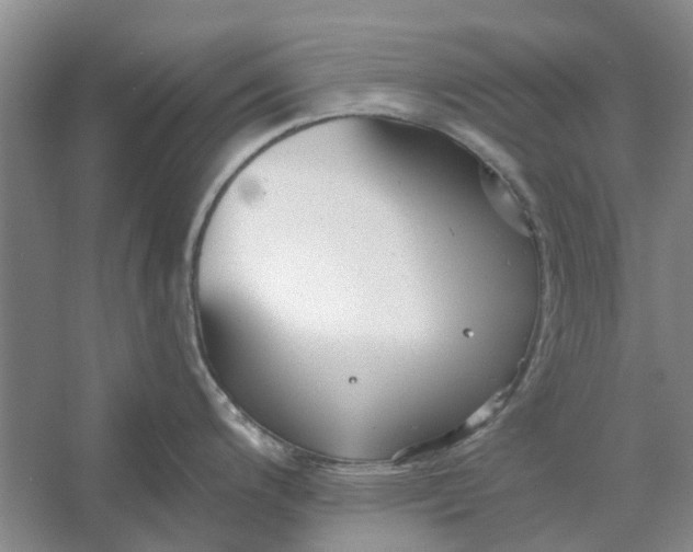 X0000054401200200508191957